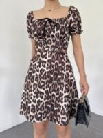 BNA2463606Leopard-4.jpg